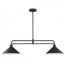  11763 BK - Roscoe 2 - Light Industrial Linear Pendant